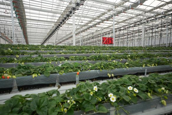 918.com(中国区)官方网站